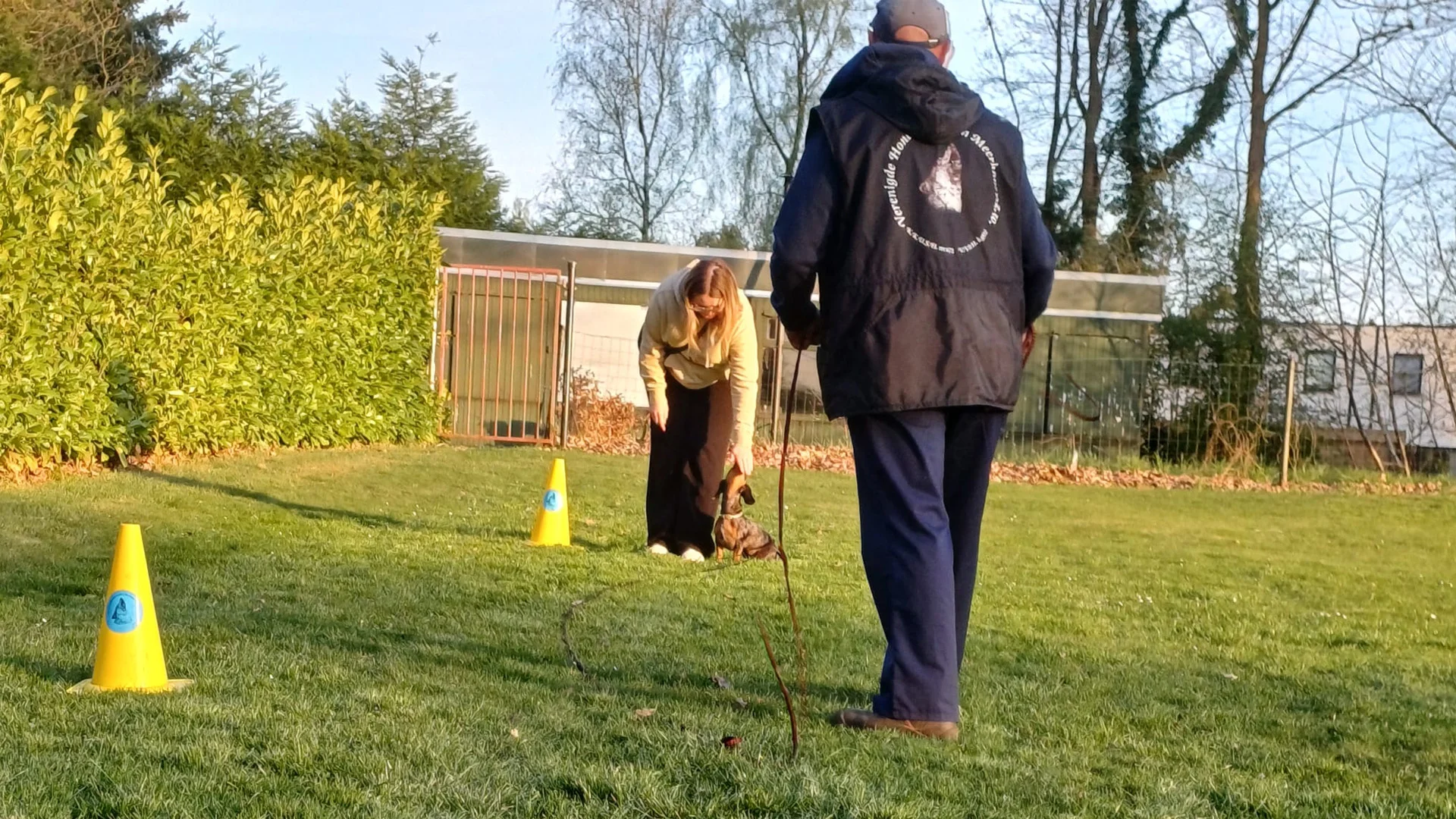 hond word klaargeaakt om oefening te doen aan lange leiband