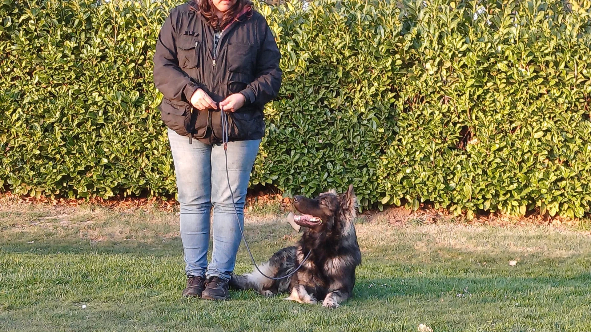 hond ligt aangelijnd naast geleider