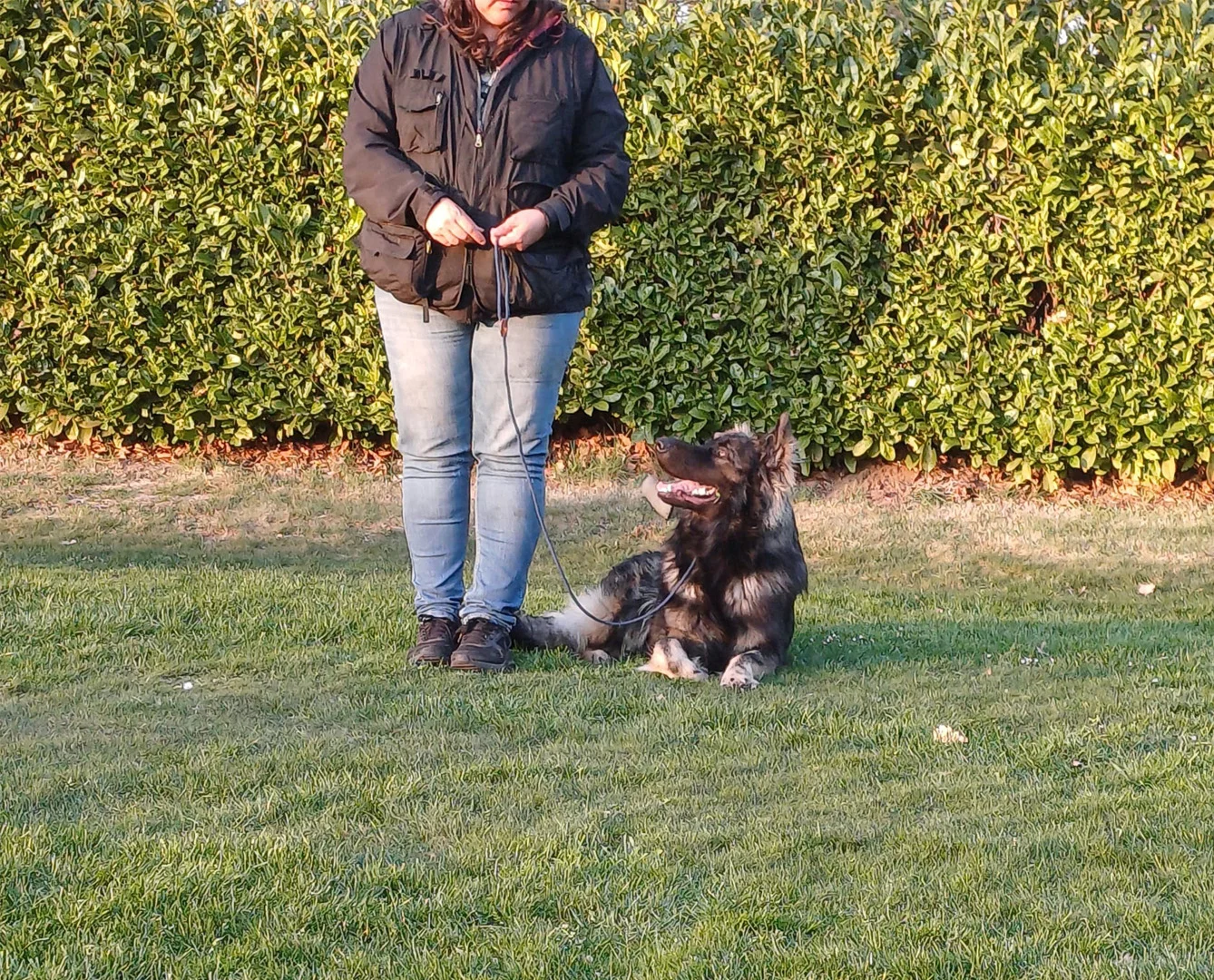 Hond ligt naast geleider te wachten op bevel