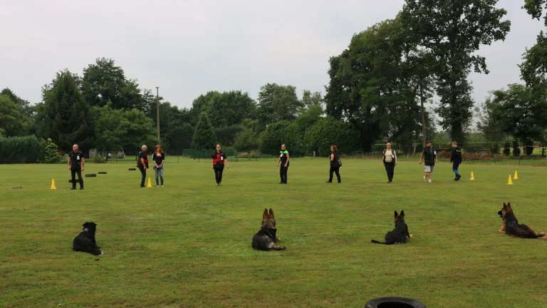 honden liggen onder bevel
