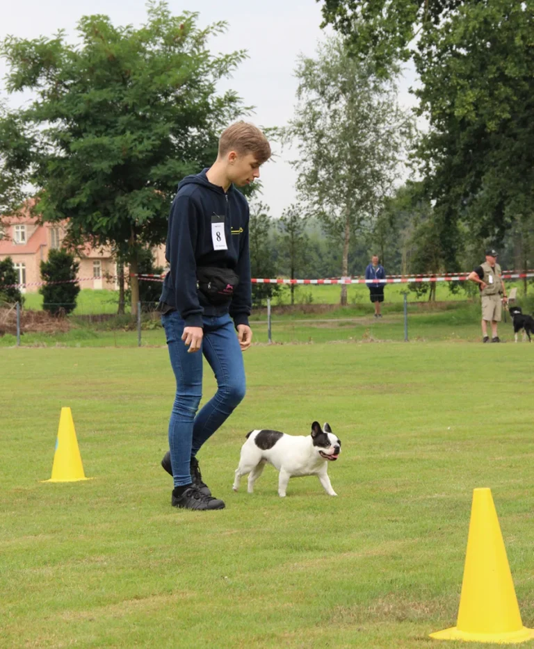 hond volgt baasje