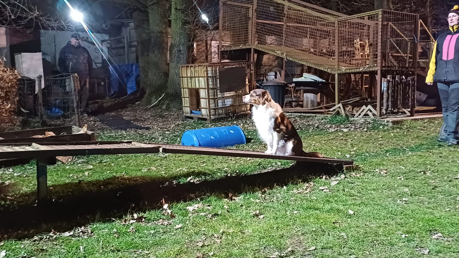 hond zit op kattenren die lawaai maakt