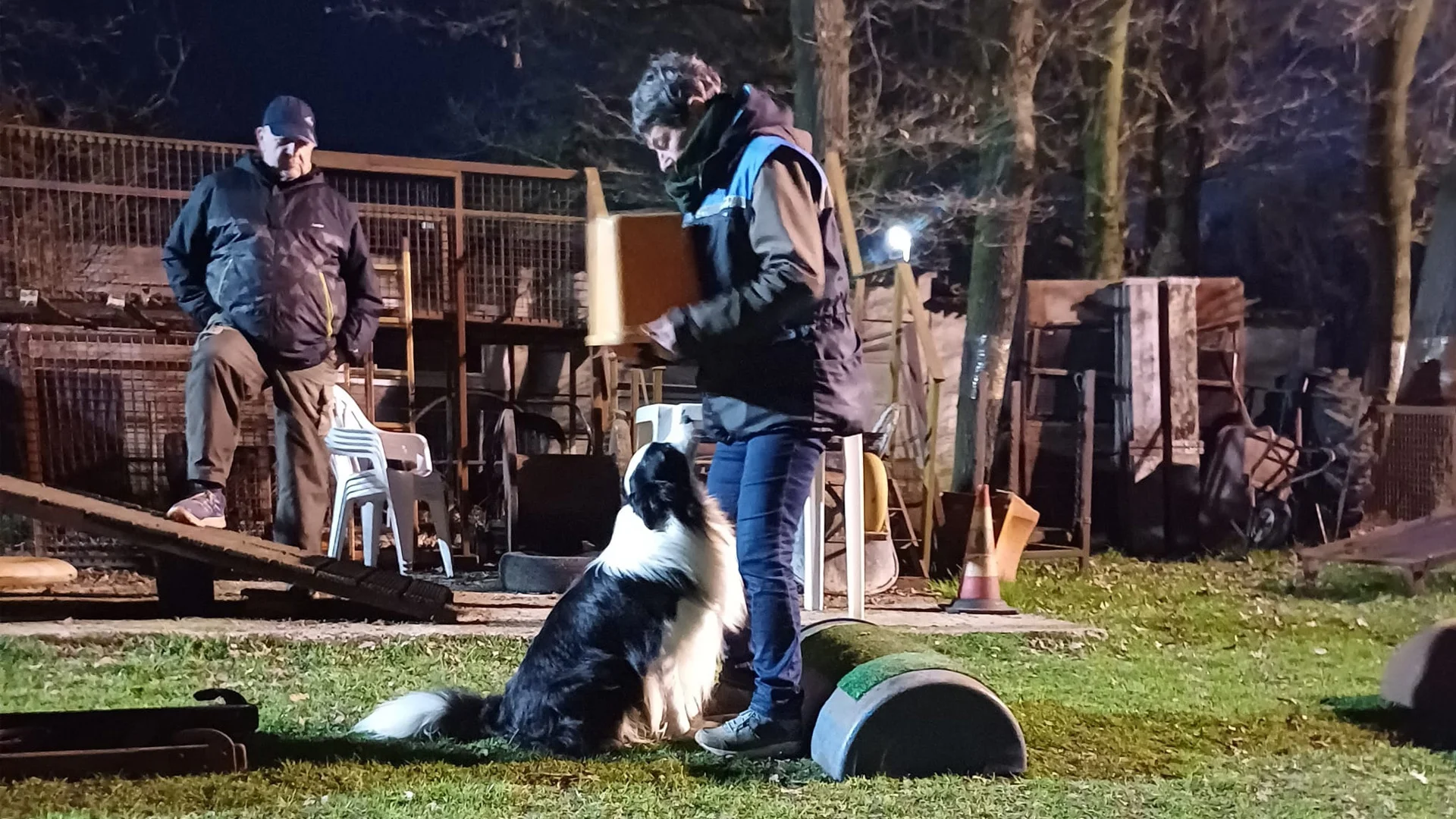 hond zit in houding zit voor onder emmer