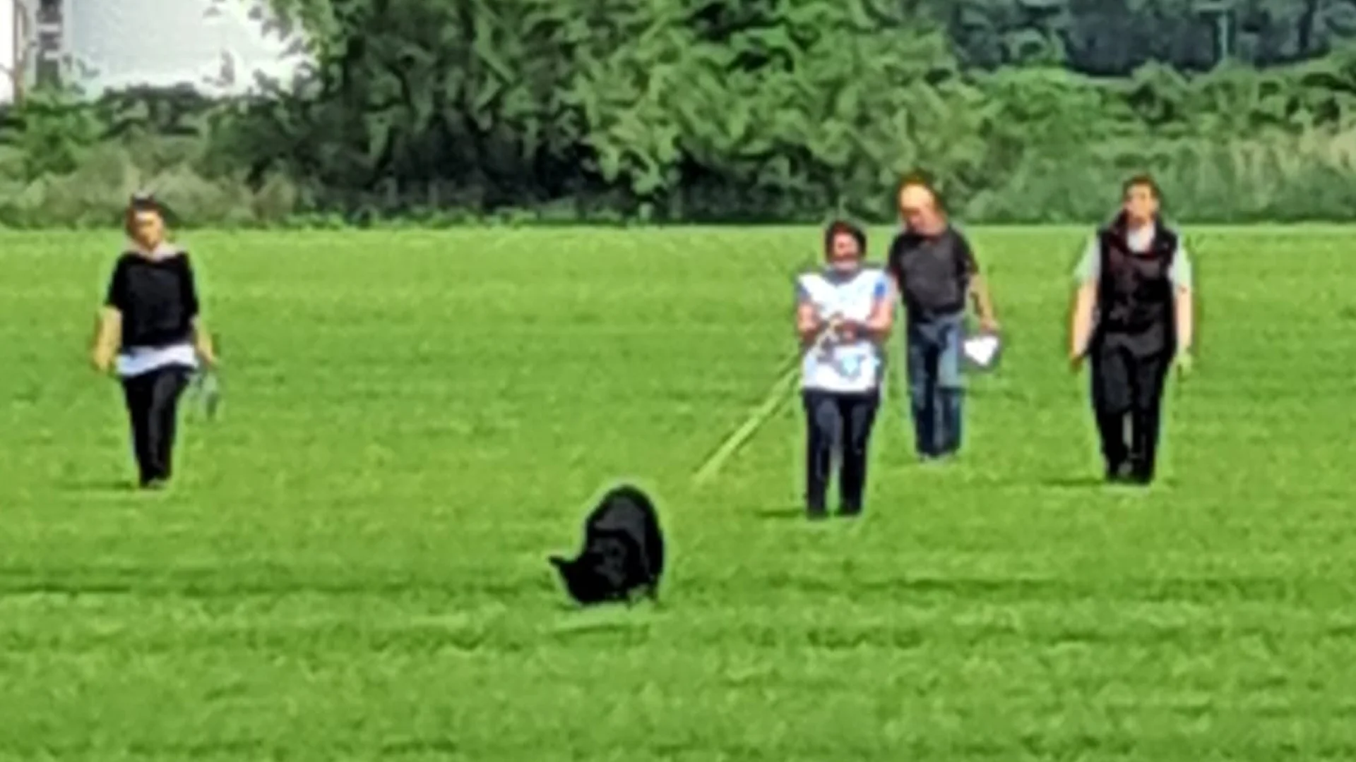 hond speurt naar spoor op examen
