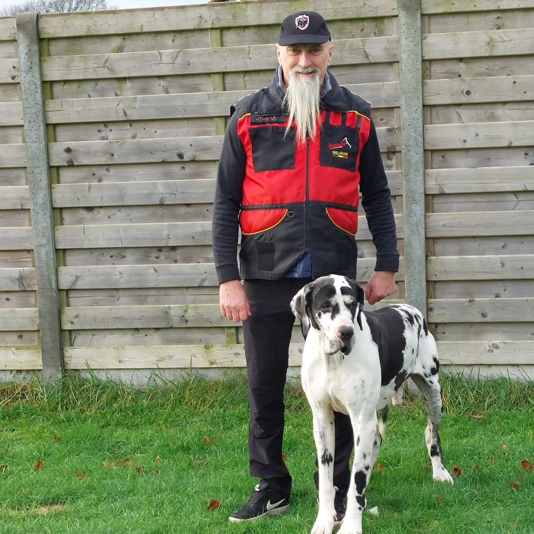 hond zit in houding zit voor onder emmer